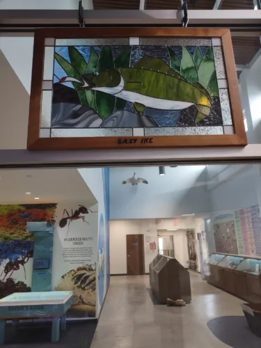 Nature, local heritage celebrated in stained glass